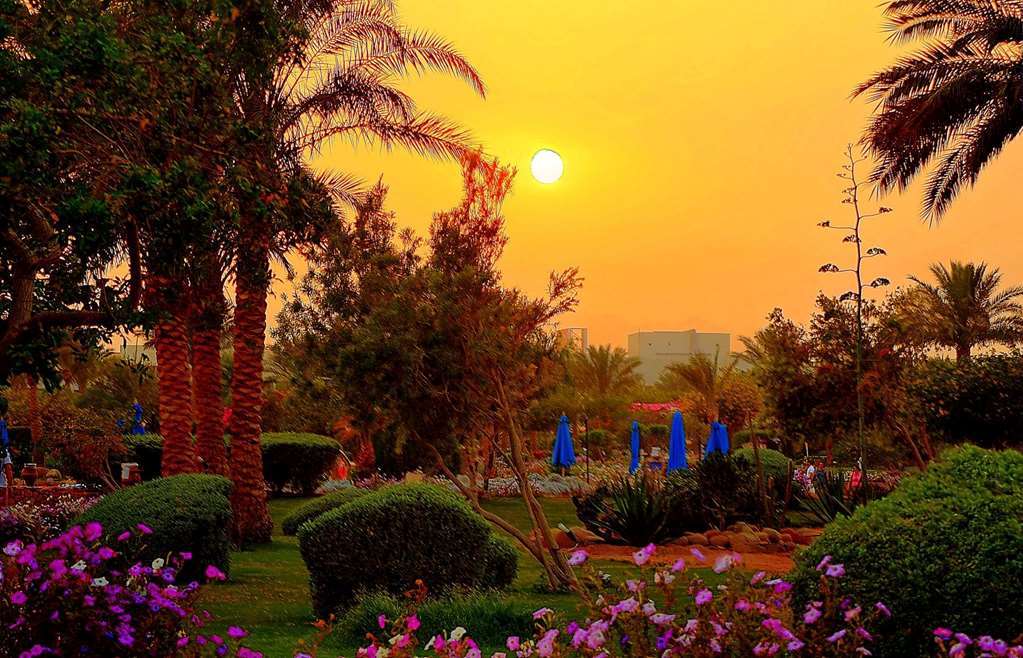 Aurora Oriental 5* Sharm el-Sheikh