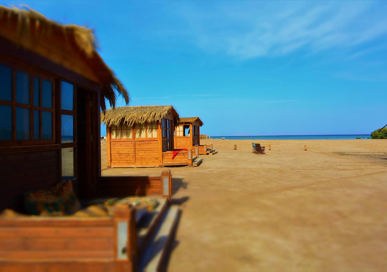 Kamp alanı Nabq Camp