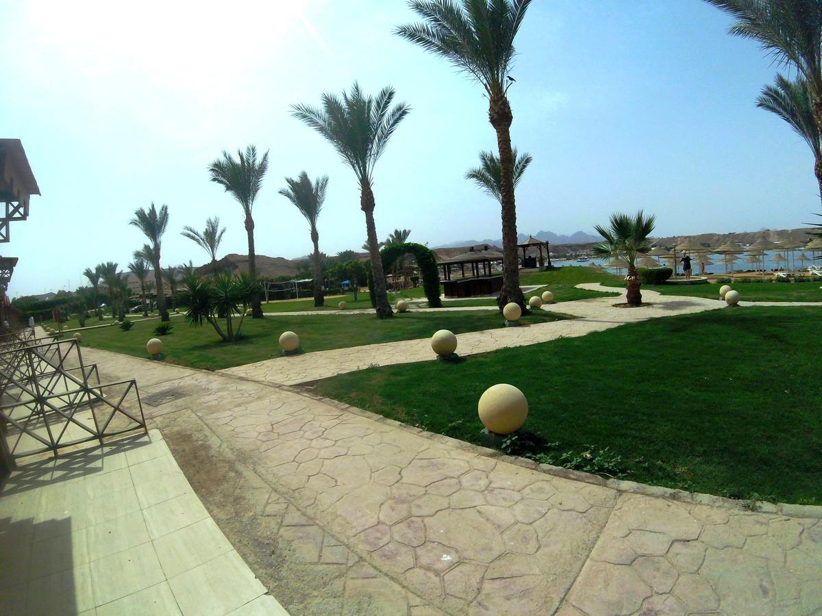 Xperience Golden Sandy