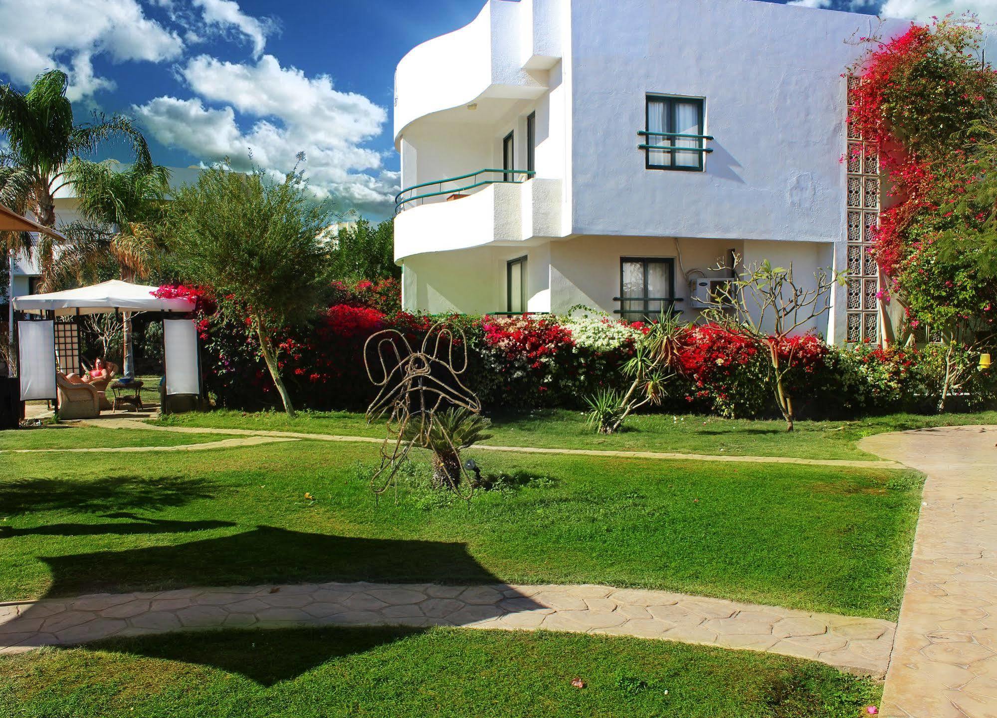 Viking Club Sheikh Resort 4*