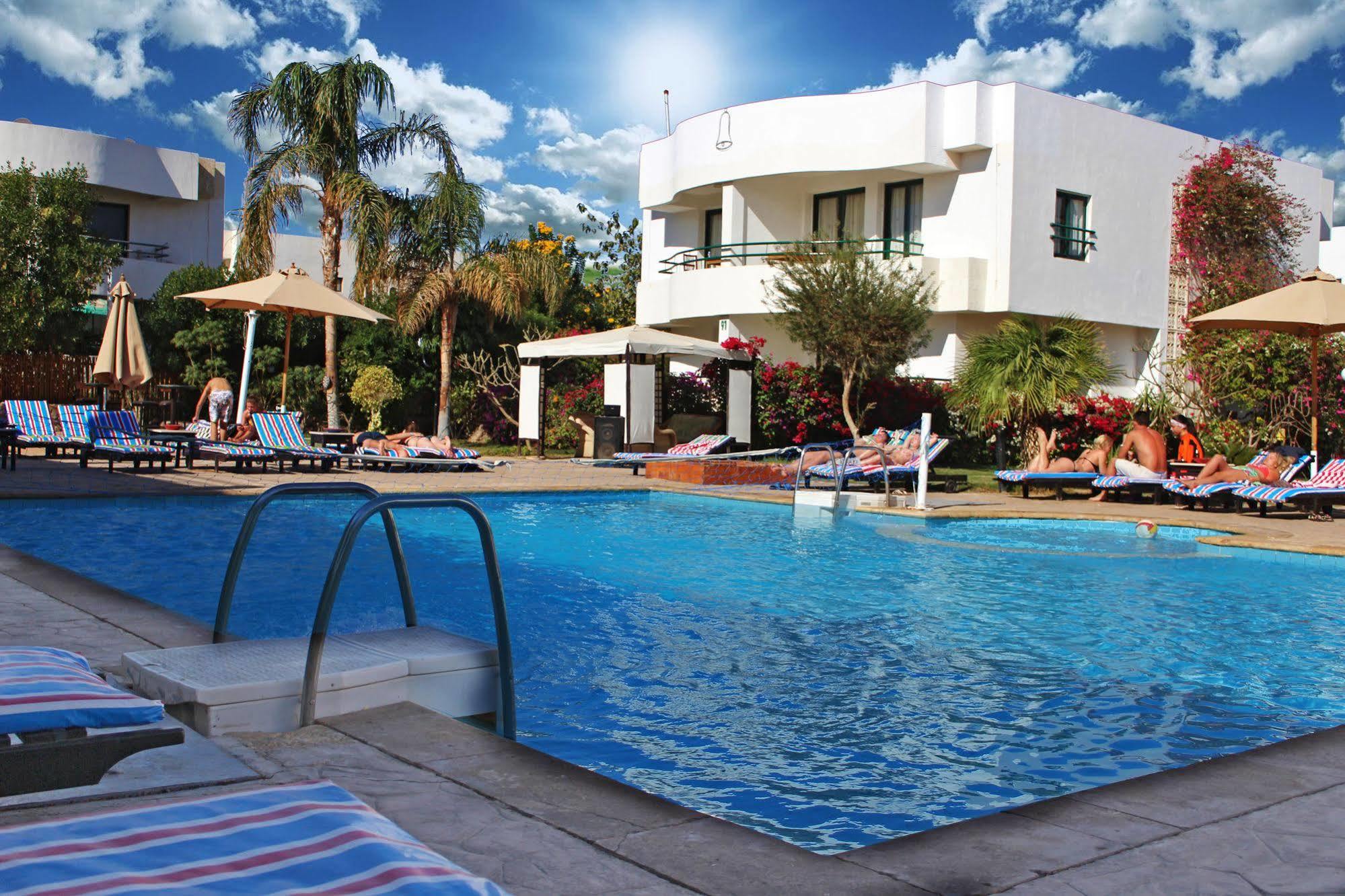Viking Club Sheikh 4*