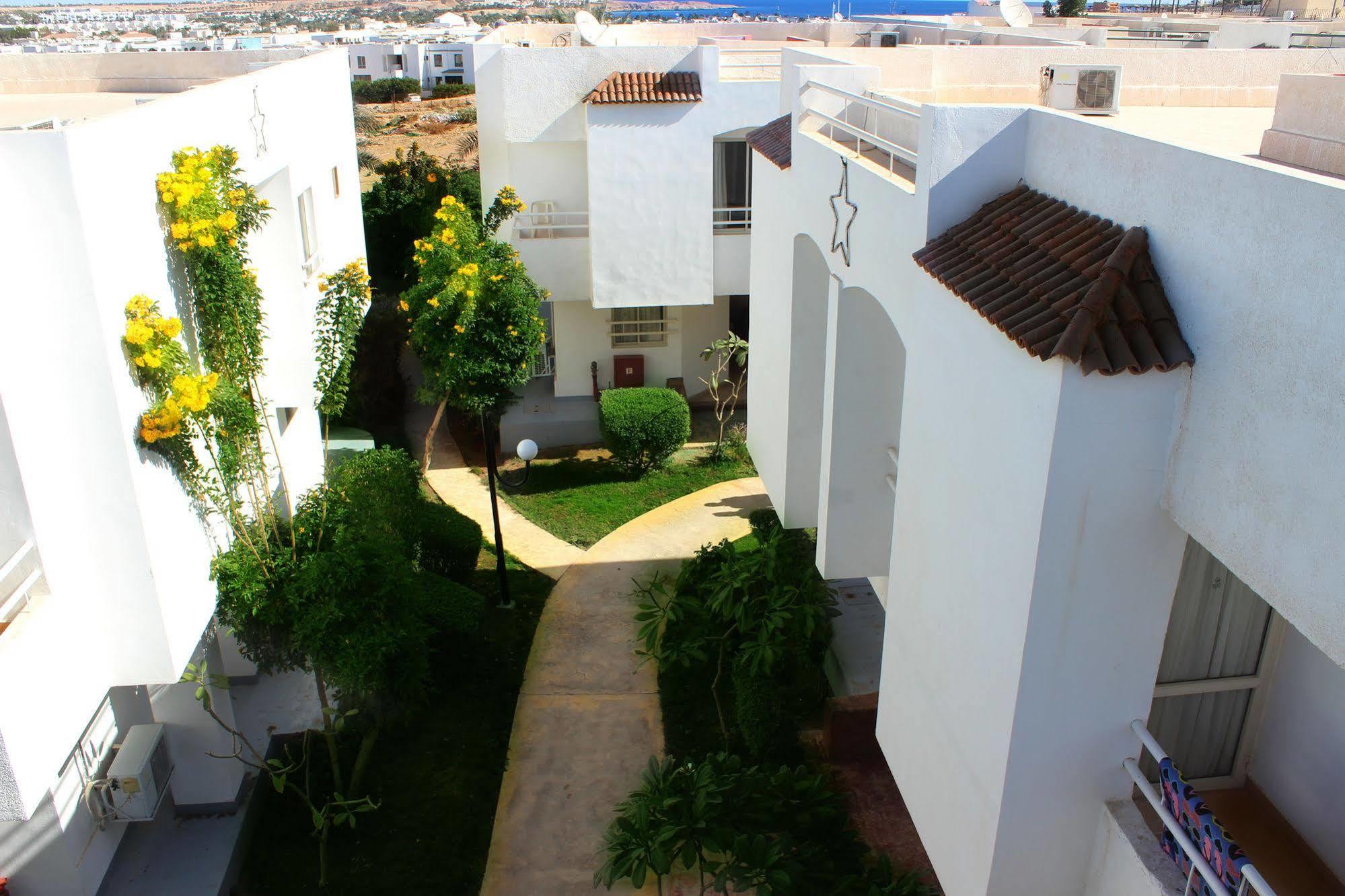 Viking Club Sheikh 4* Sharm el-Sheikh