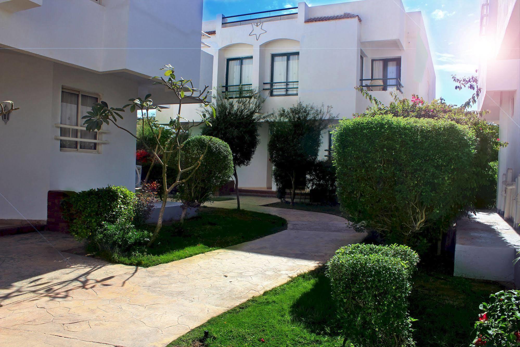 Resort Viking Club Sheikh 4*
