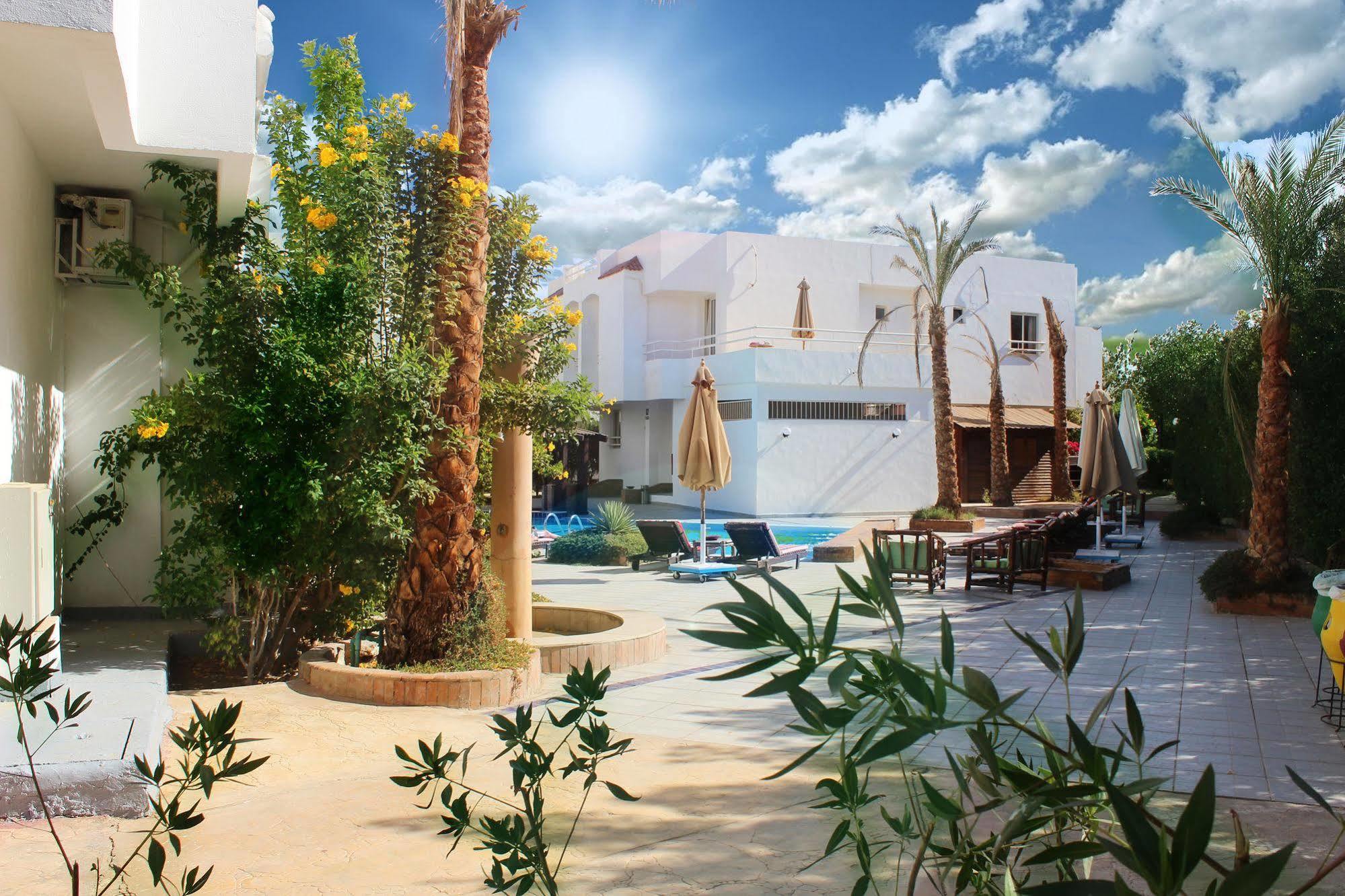 Resort Viking Club Sheikh