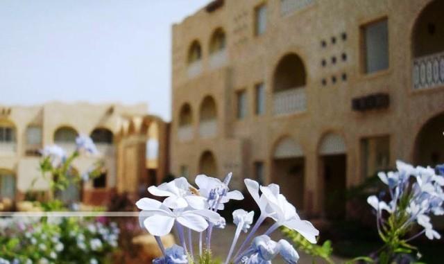 Hotel Gardenia Plaza And 4*