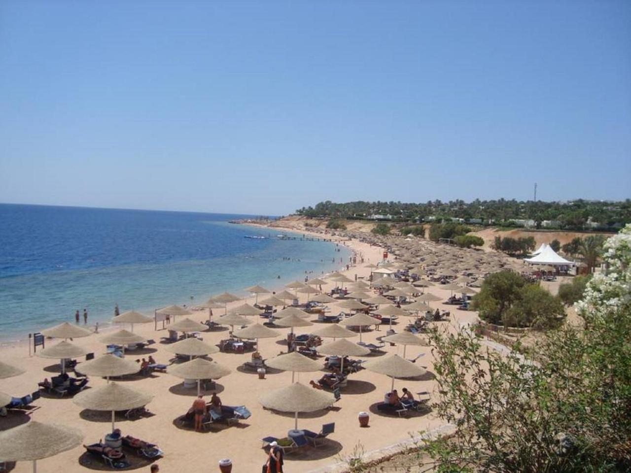 Coral Bay Prestige *