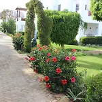 Delta Sharm Best Vacation