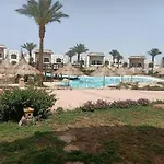شقه مع جنينه هاديه