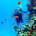 Luxury Sharm Hills Resort