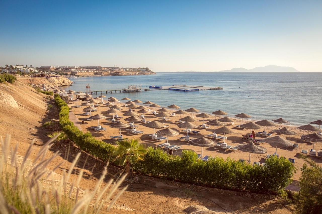 Resort Domina Oasis &