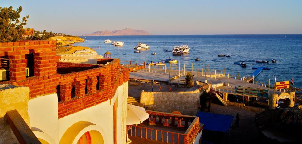 Umbi Sharks Bay Diving Village 3* Sharm el Sheikh