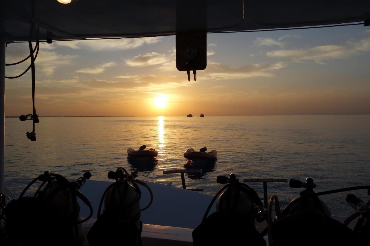 Resort Umbi Sharks Bay Diving Village 3*