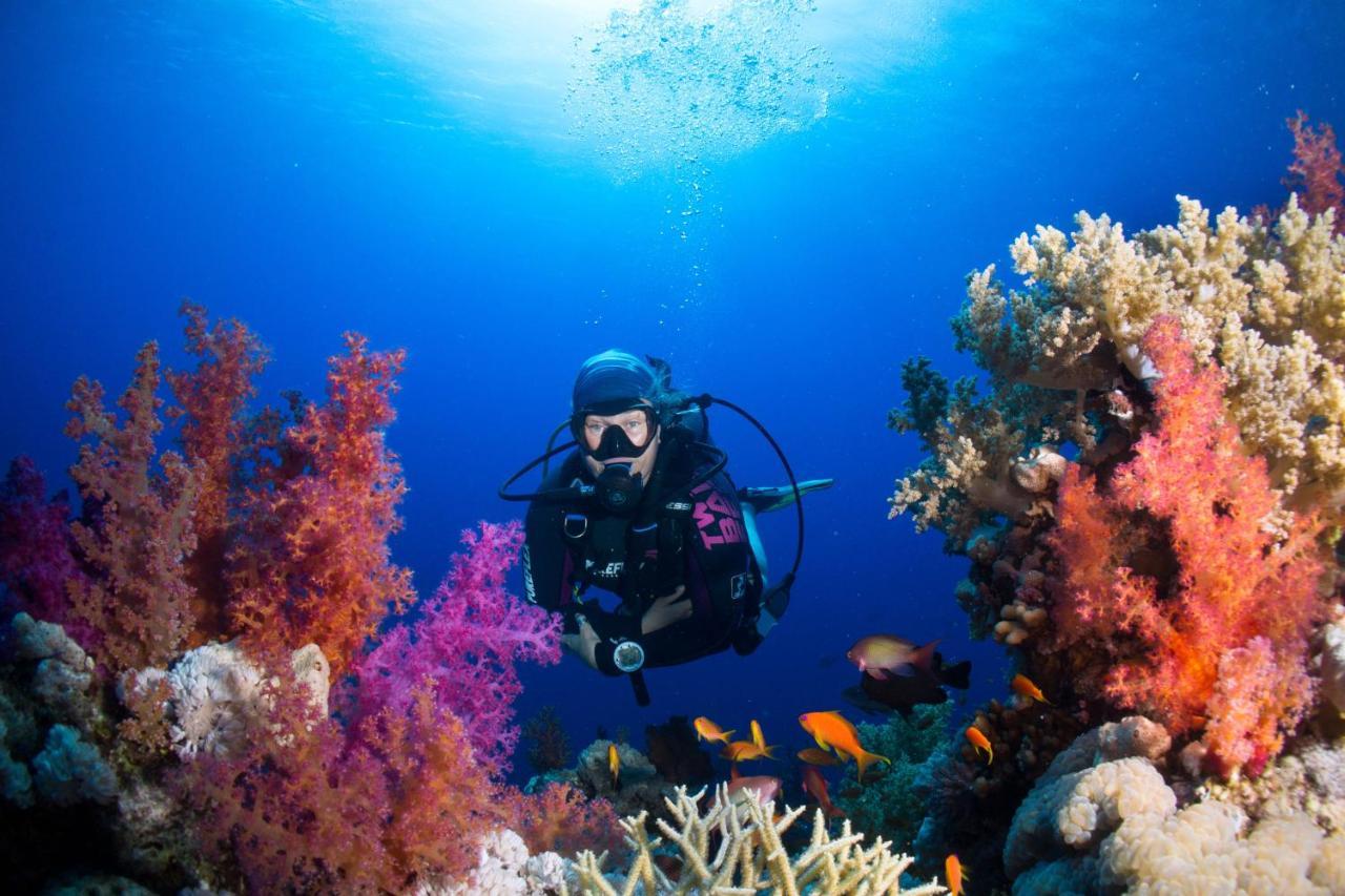 Umbi Sharks Bay Diving Village 3* Sharm el Sheikh