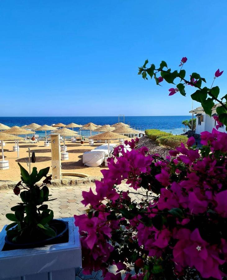 Apartment Domina Coral Bay Elite Sharm el-Sheikh