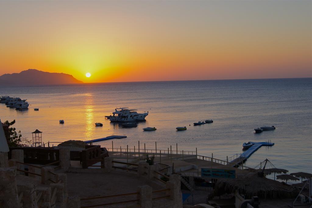 Umbi Sharks Bay Diving Village Resort Sharm el Sheikh