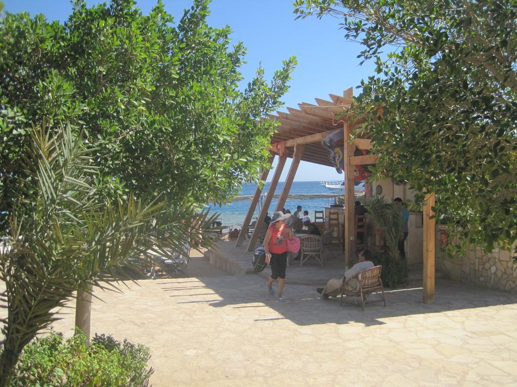 Umbi Sharks Bay Diving Village Resort Sharm el Sheikh