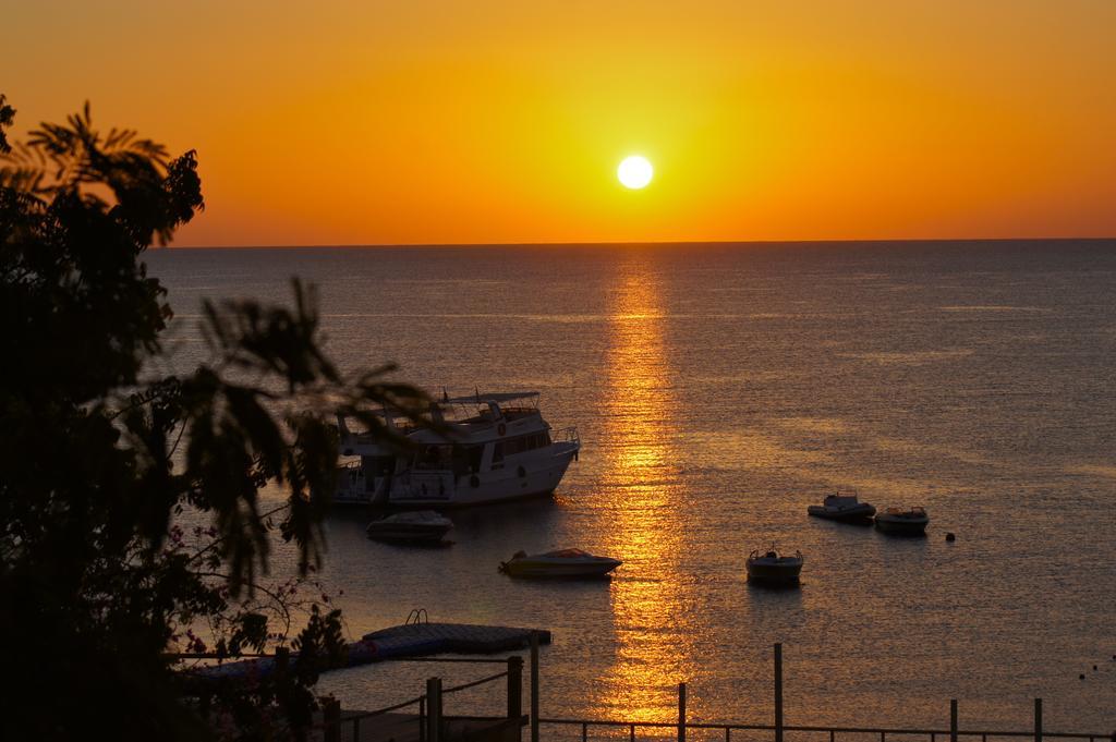Umbi Sharks Bay Diving Village 3*