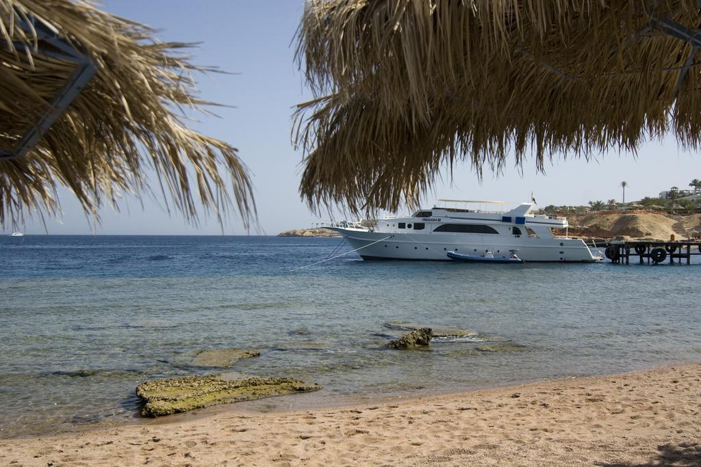 Resort Umbi Sharks Bay Diving Village Sharm el Sheikh