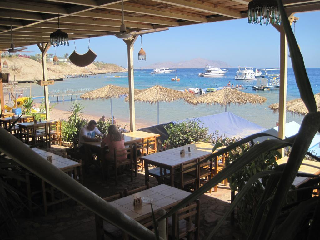 Umbi Sharks Bay Diving Village Sharm el Sheikh
