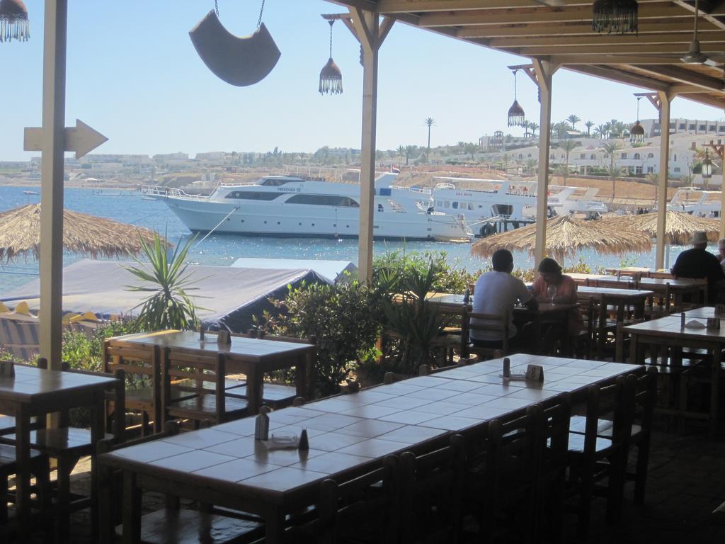 Umbi Sharks Bay Diving Village Resort