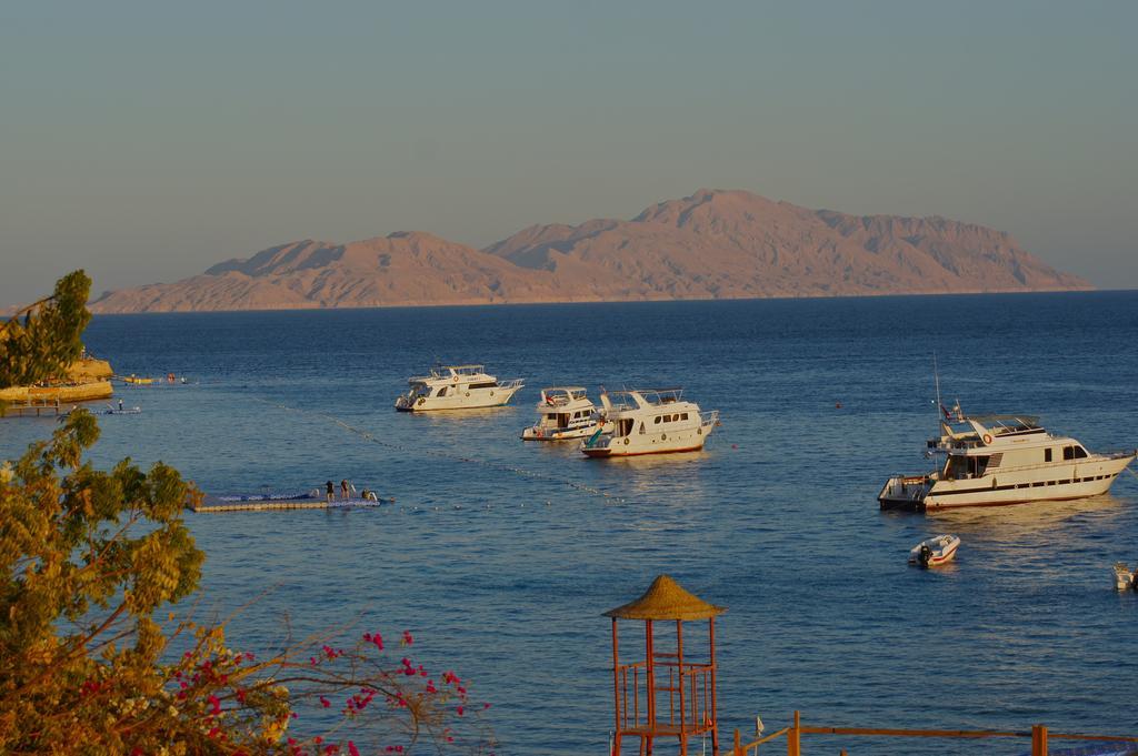 Umbi Sharks Bay Diving Village Resort 3*