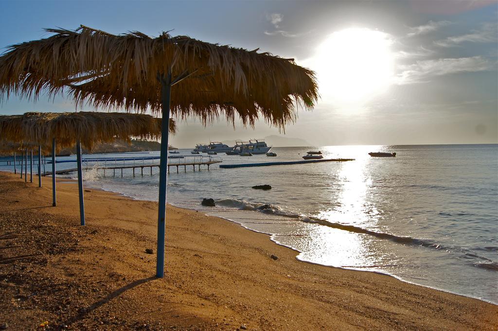 Umbi Sharks Bay Diving Village Resort Sharm el Sheikh