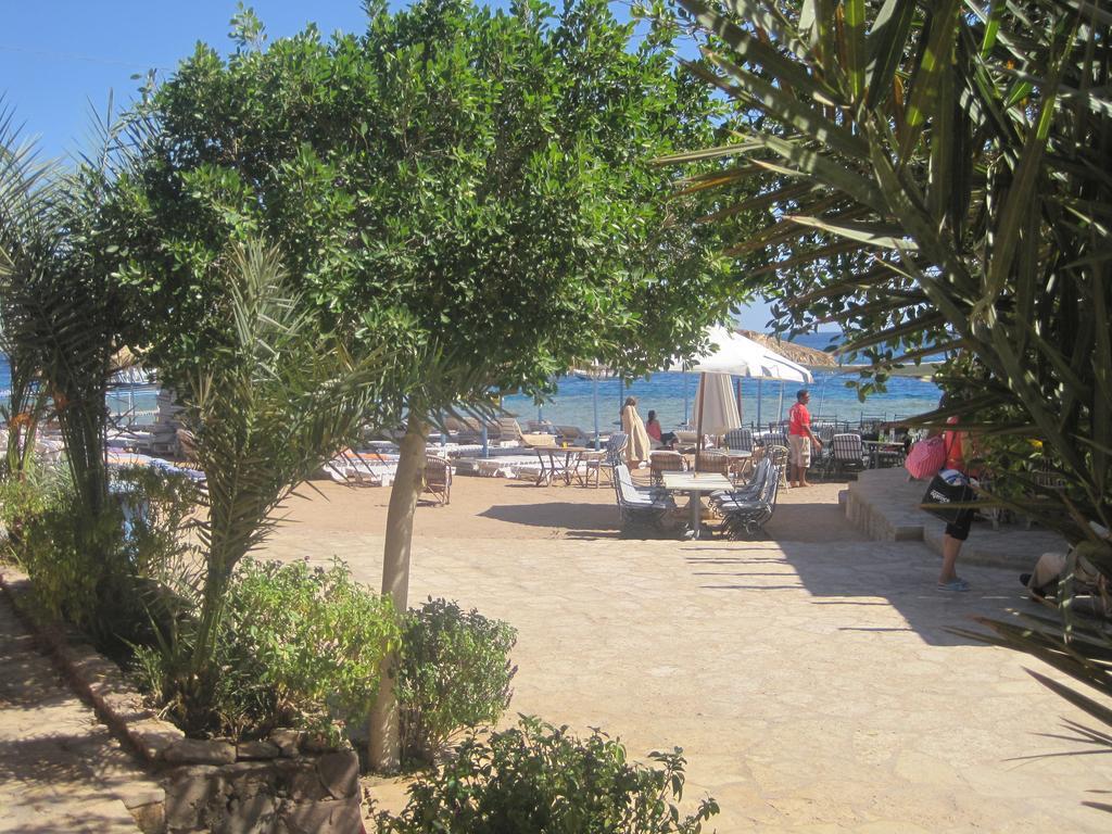 Umbi Sharks Bay Diving Village Sharm el Sheikh