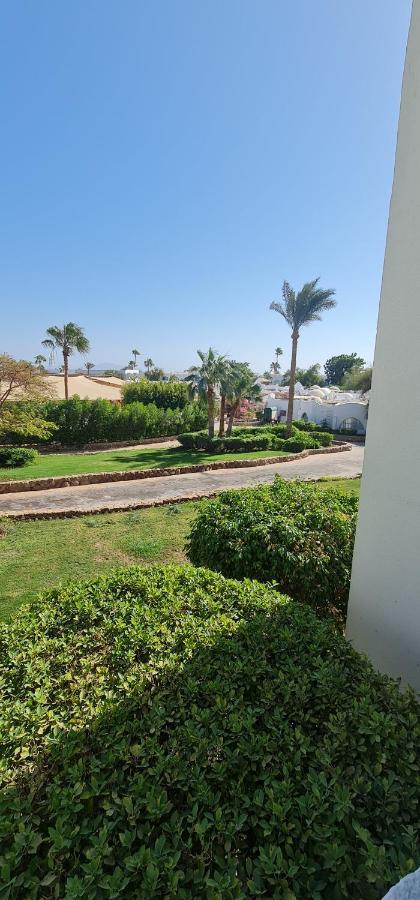 Domina Aquamarine & Apartment Sharm el-Sheikh