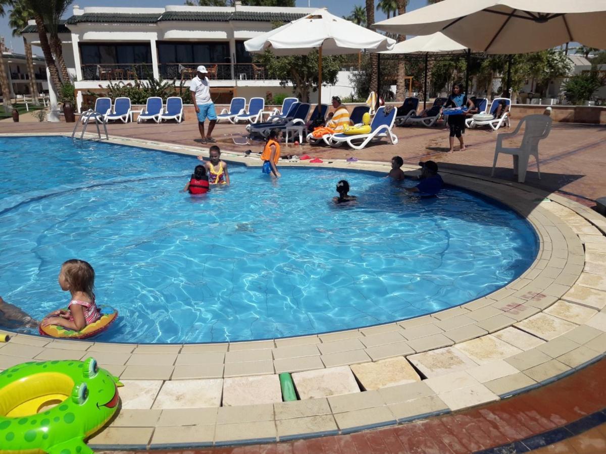 Seti Palm Families And Couples Only Şarm El-Şeyh