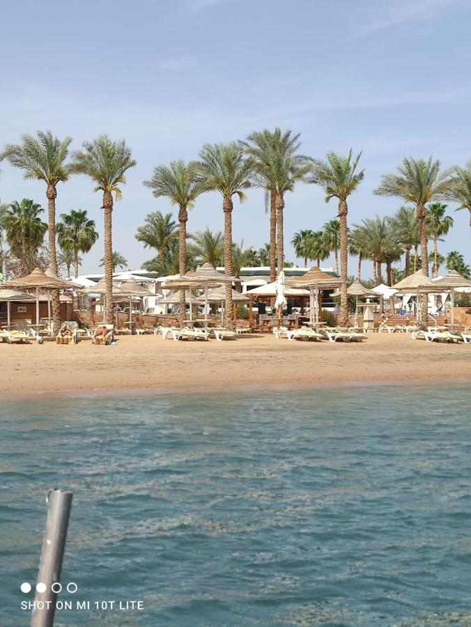 Otel Seti Palm Families And Couples Only 4*