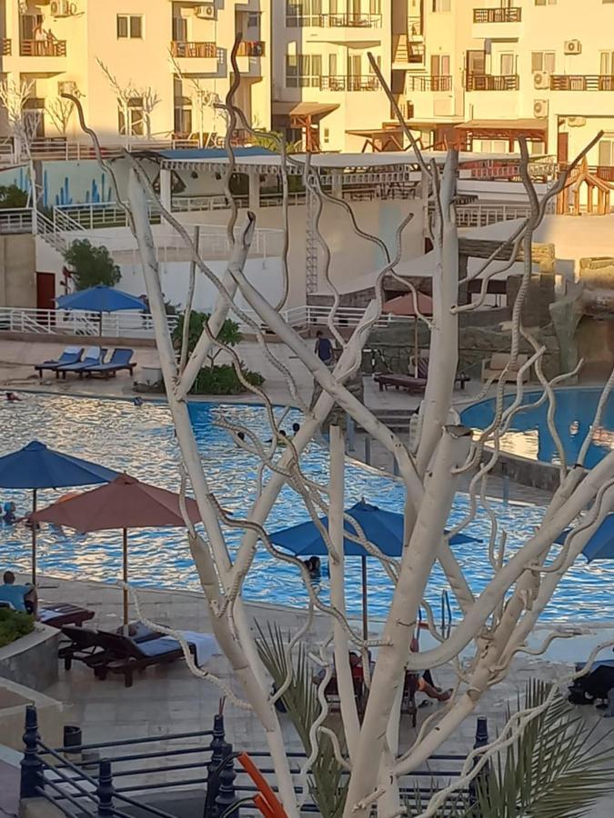 Apartment Ms Nama Bay *