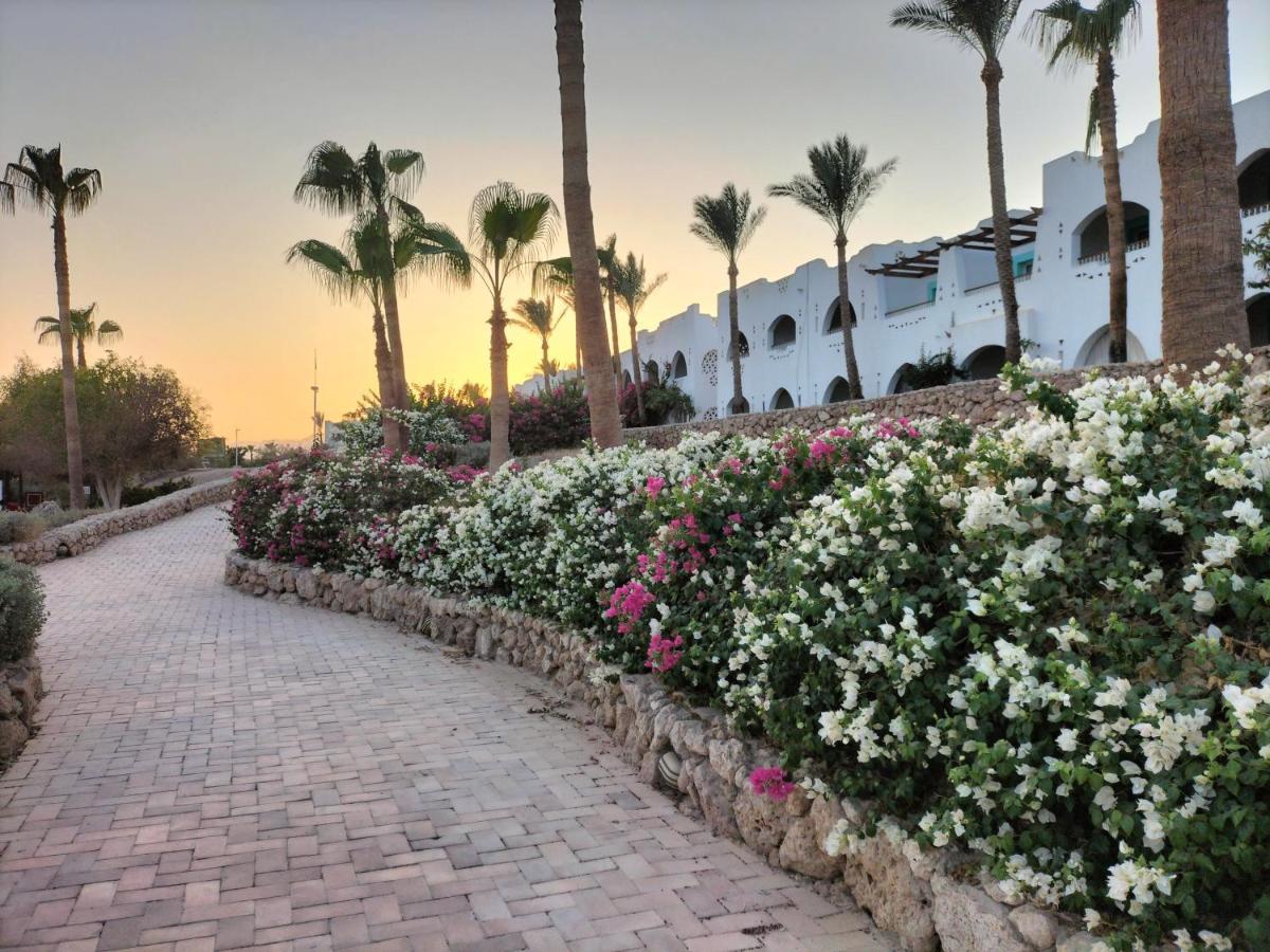 Coral Bay Roby * Sharm El-Sheikh