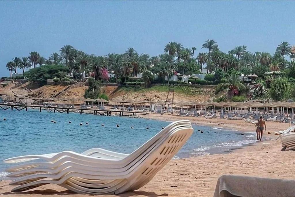 Apartment Di Lusso Con Terrazzo Vista Mare