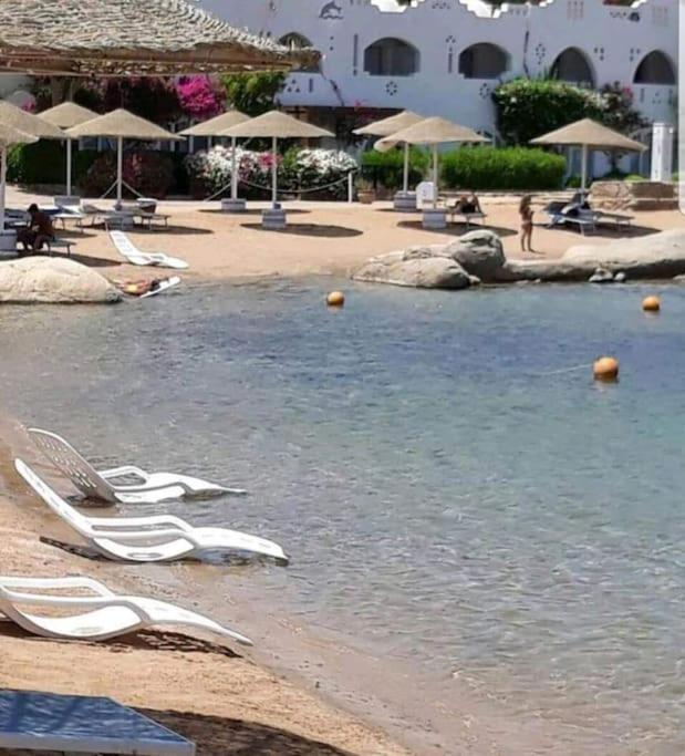 Di Lusso Con Terrazzo Vista Mare Apartment