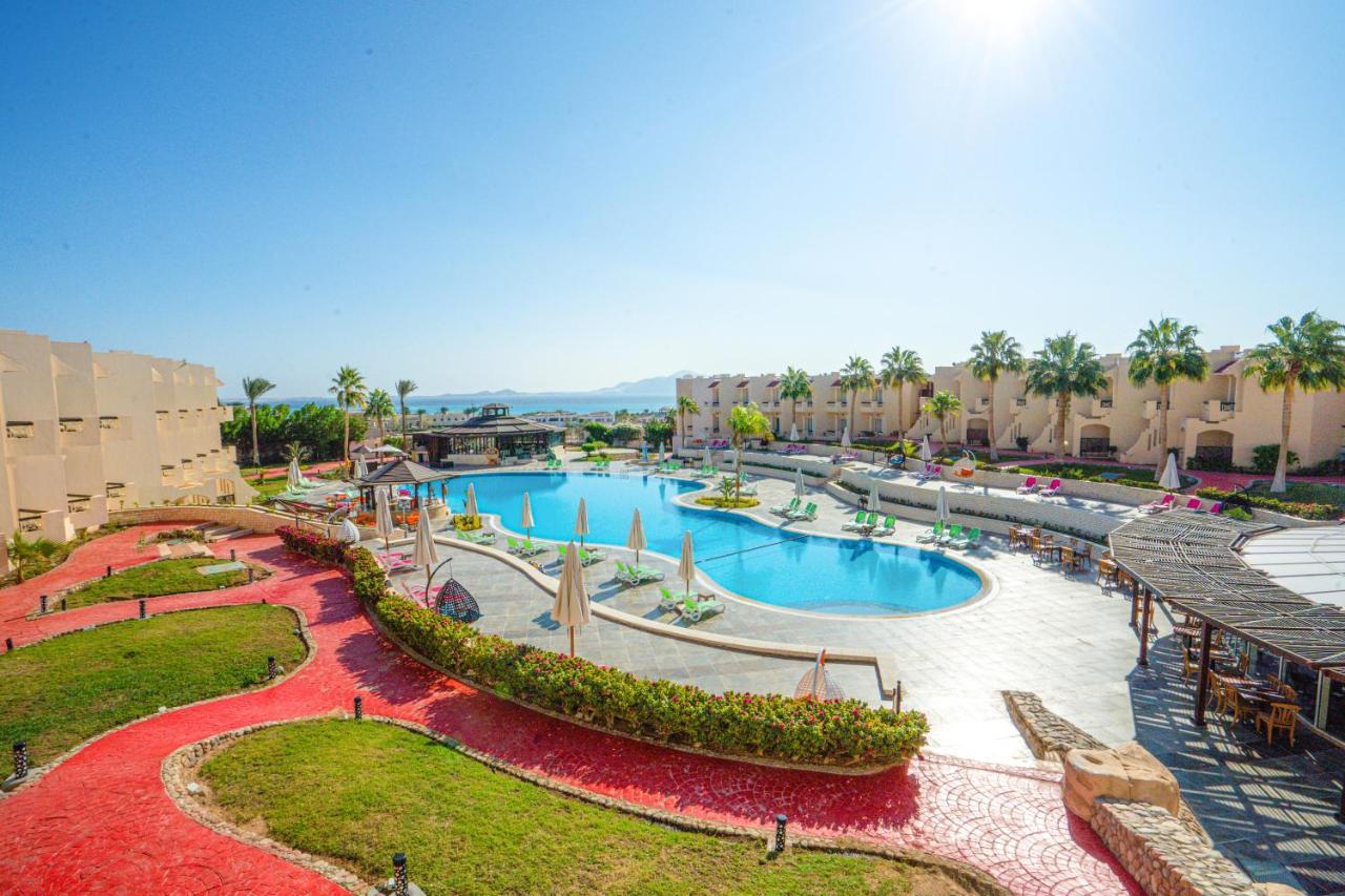 Resort Ivy Cyrene Adults Friendly 13