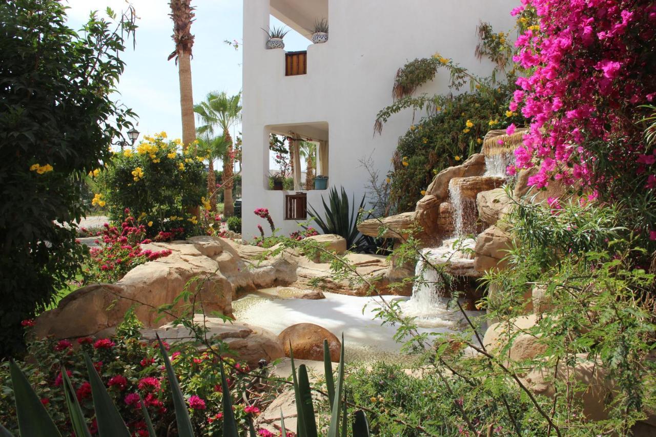 Delta Vacation Apartment