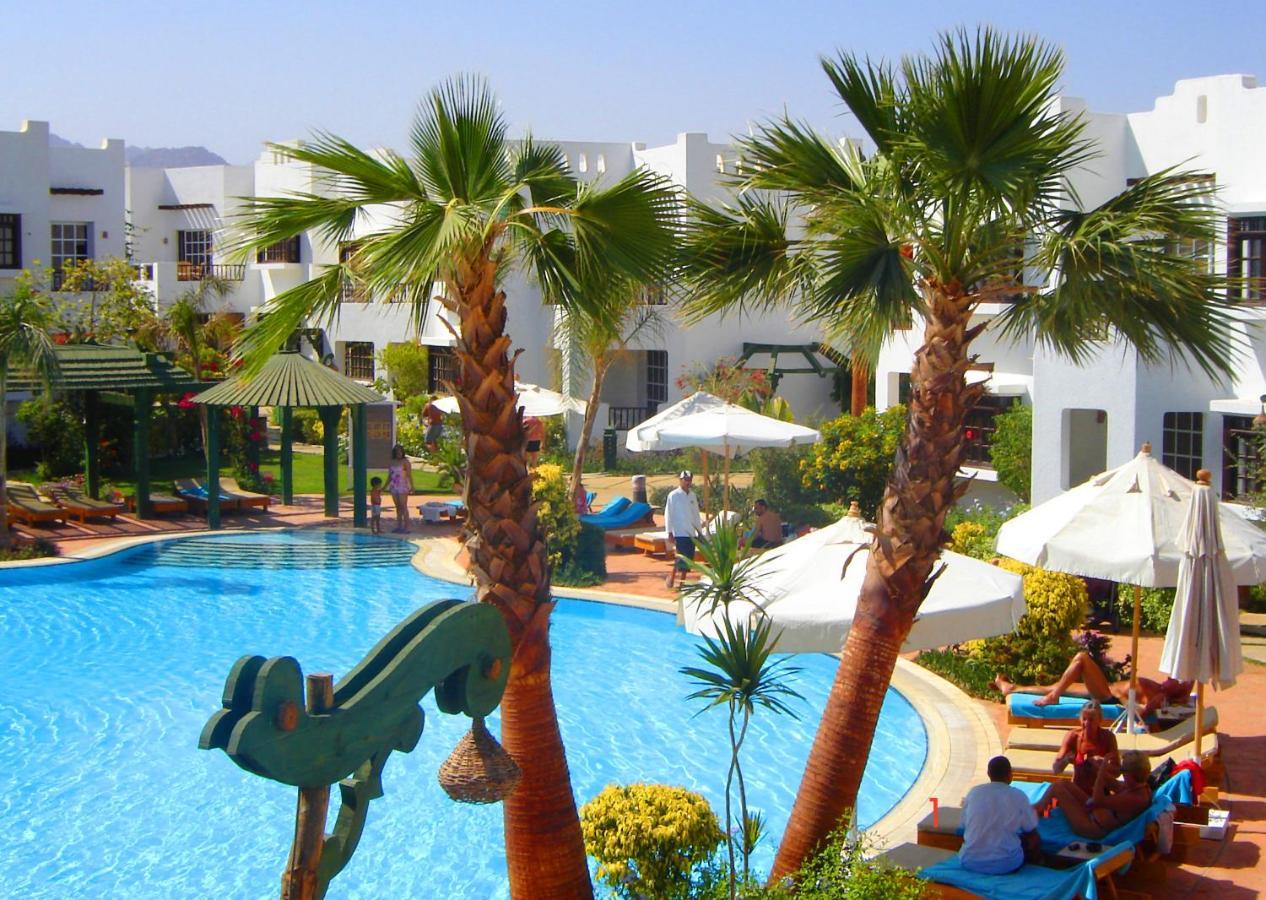 Apartment Delta Rent For Renting Units At Delta ,sharm Elsheikh ,egypt