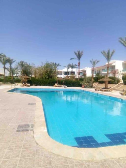 Naama Bay Luxury Stylish Entire Flat With En-suit -centre Of Apartment *