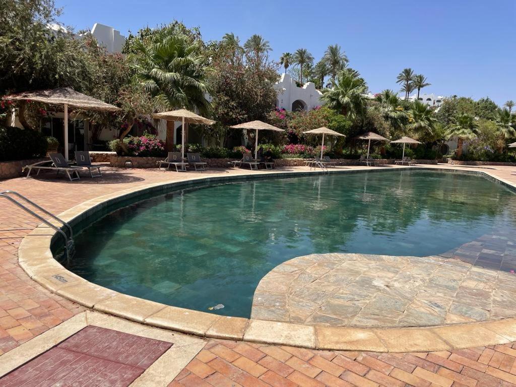 Domina Coral Bay Building 46 By Holiday 24 Holiday home *