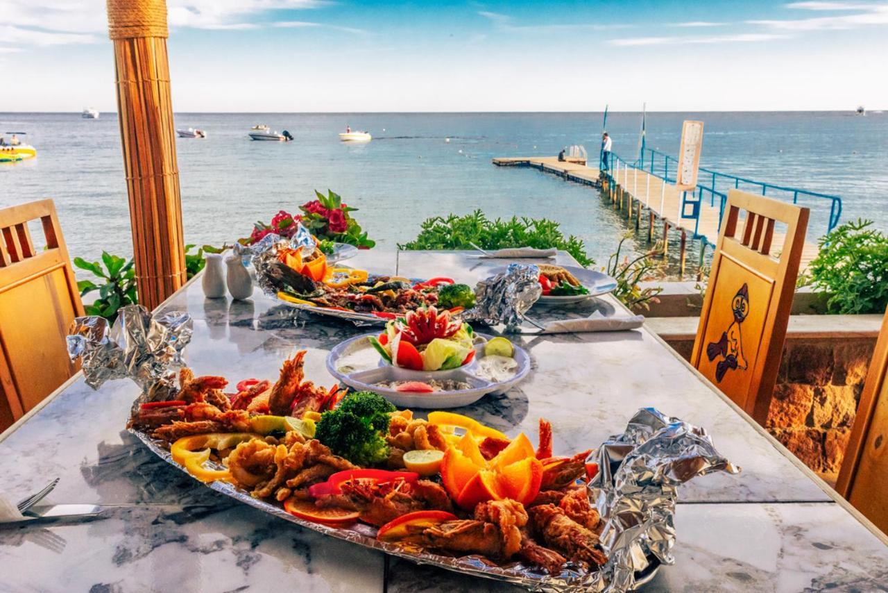 Umbi Sharks Bay Diving Village Sharm el Sheikh