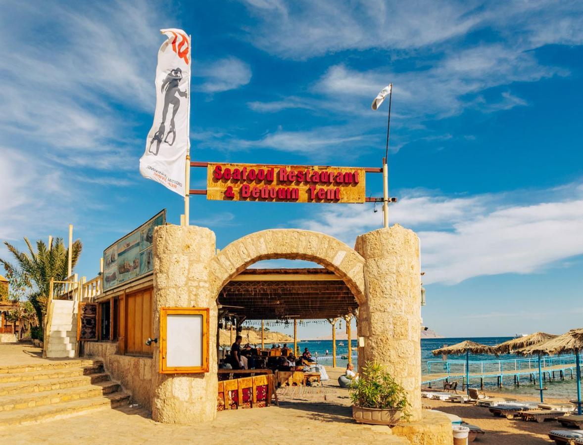 Umbi Sharks Bay Diving Village Resort Sharm el Sheikh
