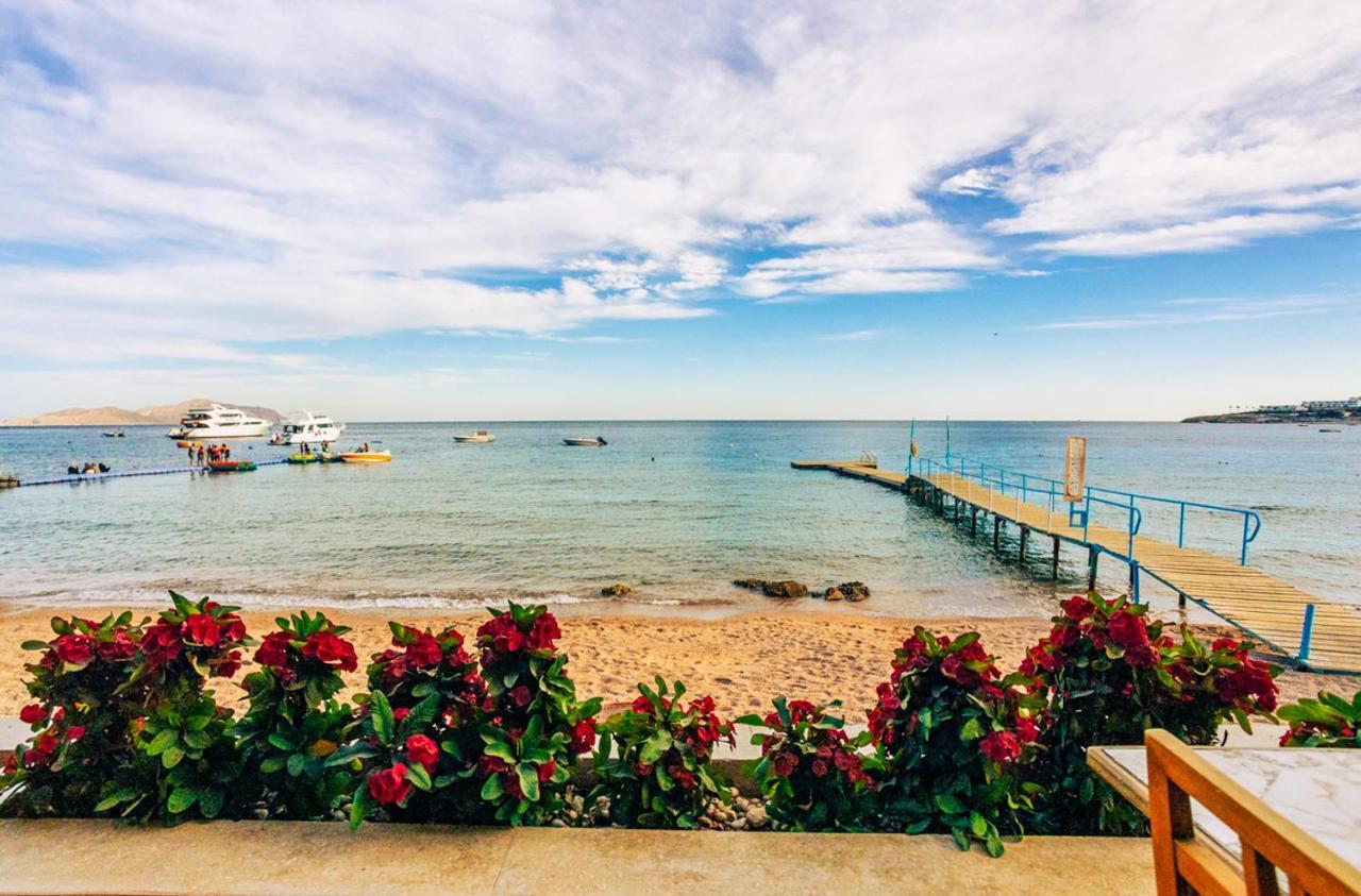 Resort Umbi Sharks Bay Diving Village 3*