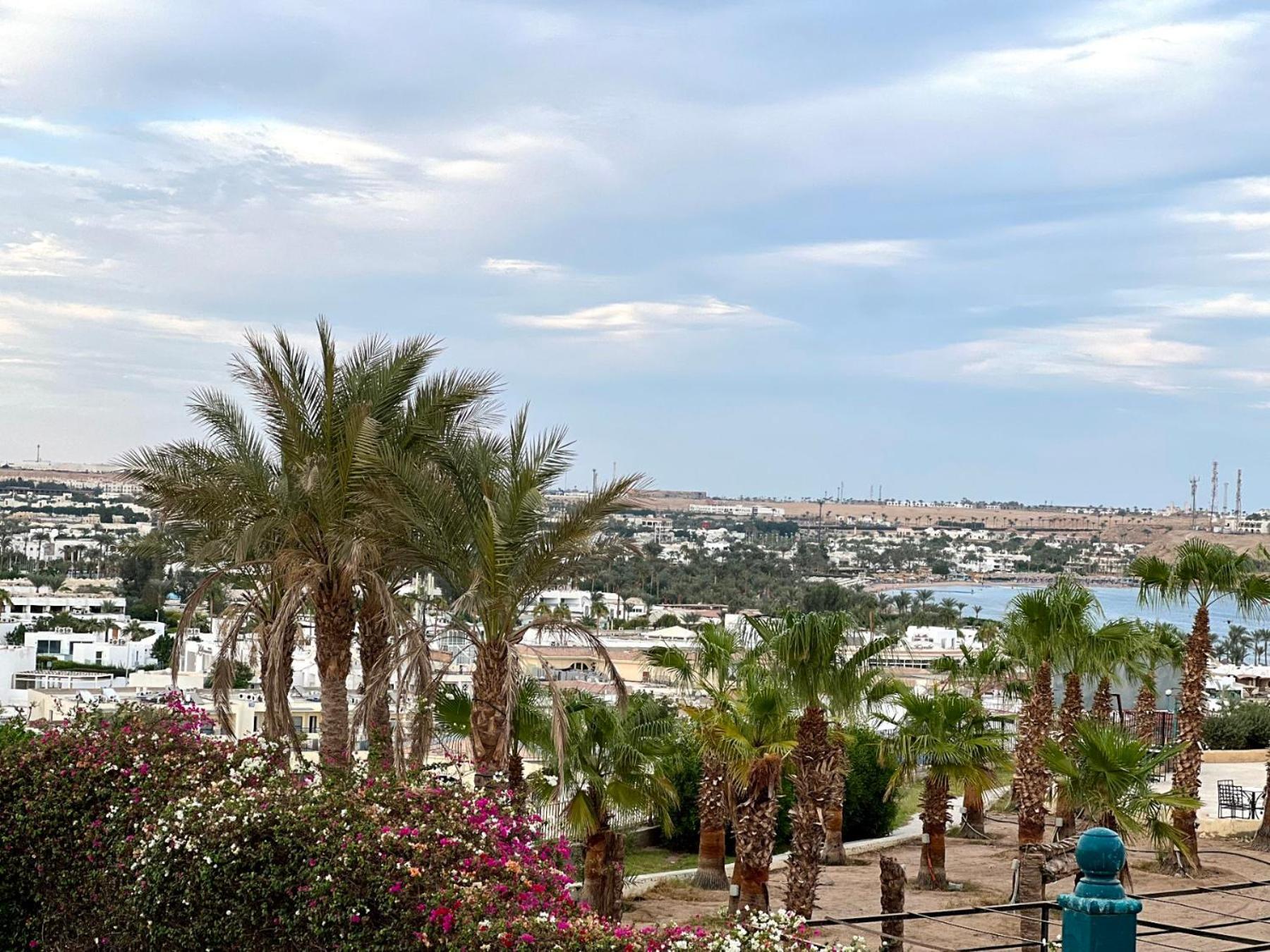 Sharm Cliff Hotel 4*