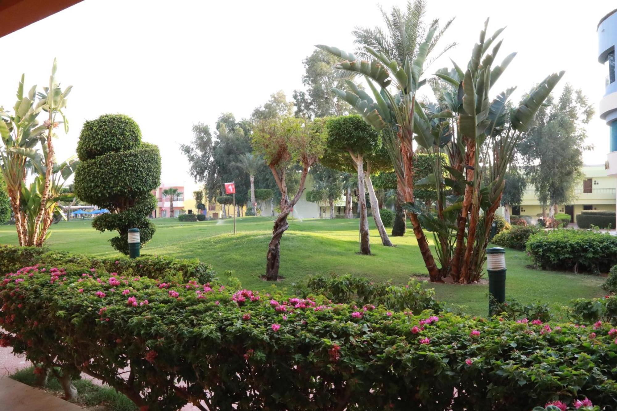 Sierra Sheikh 5* Şarm El-Şeyh