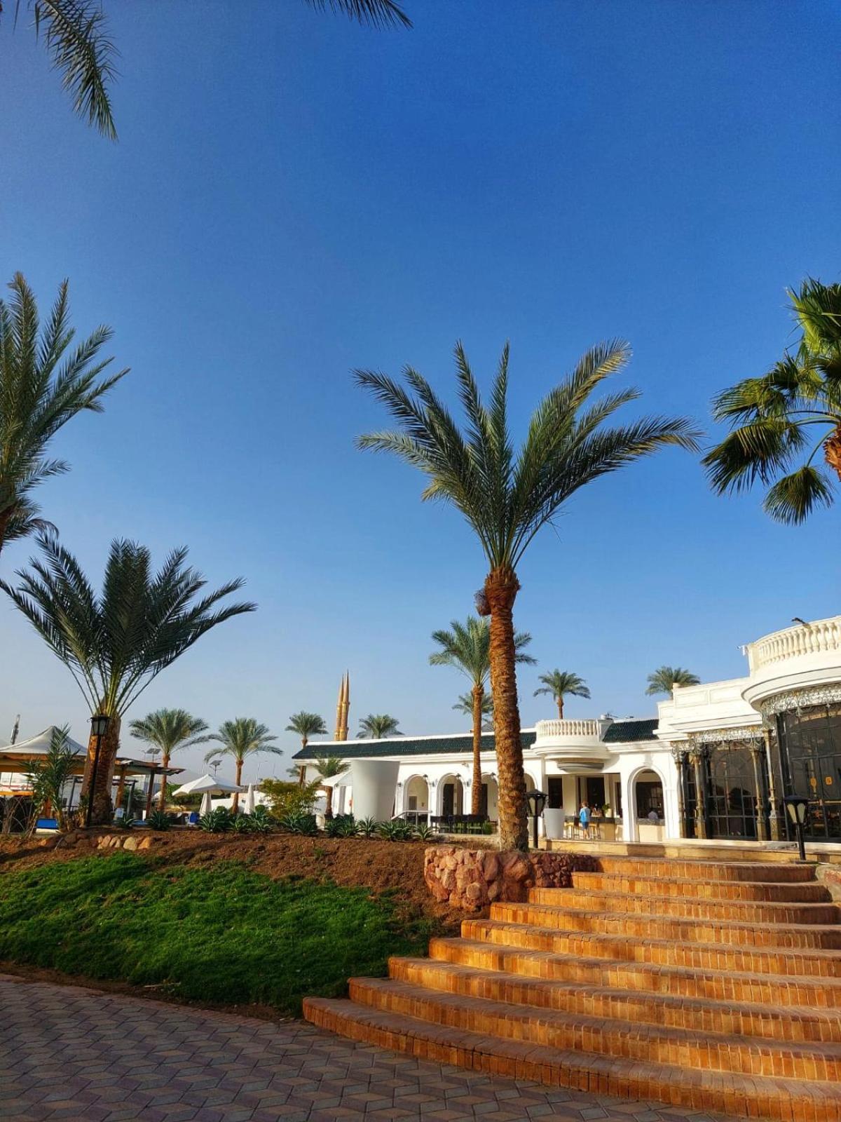 Seti Palm Families And Couples Only 4* Şarm El-Şeyh