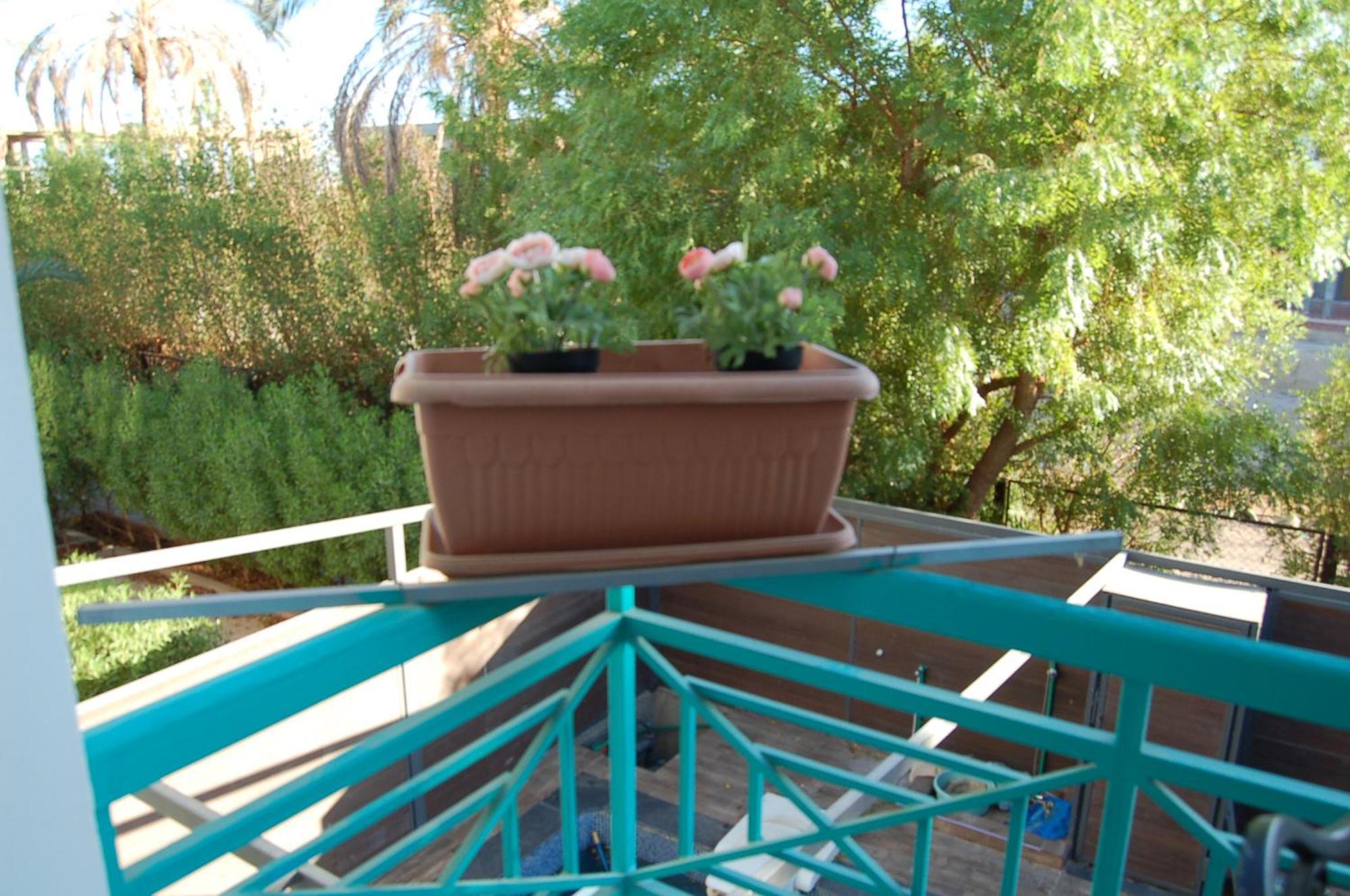 Naama Bay Luxury Stylish Entire Flat With En-suit -centre Of *