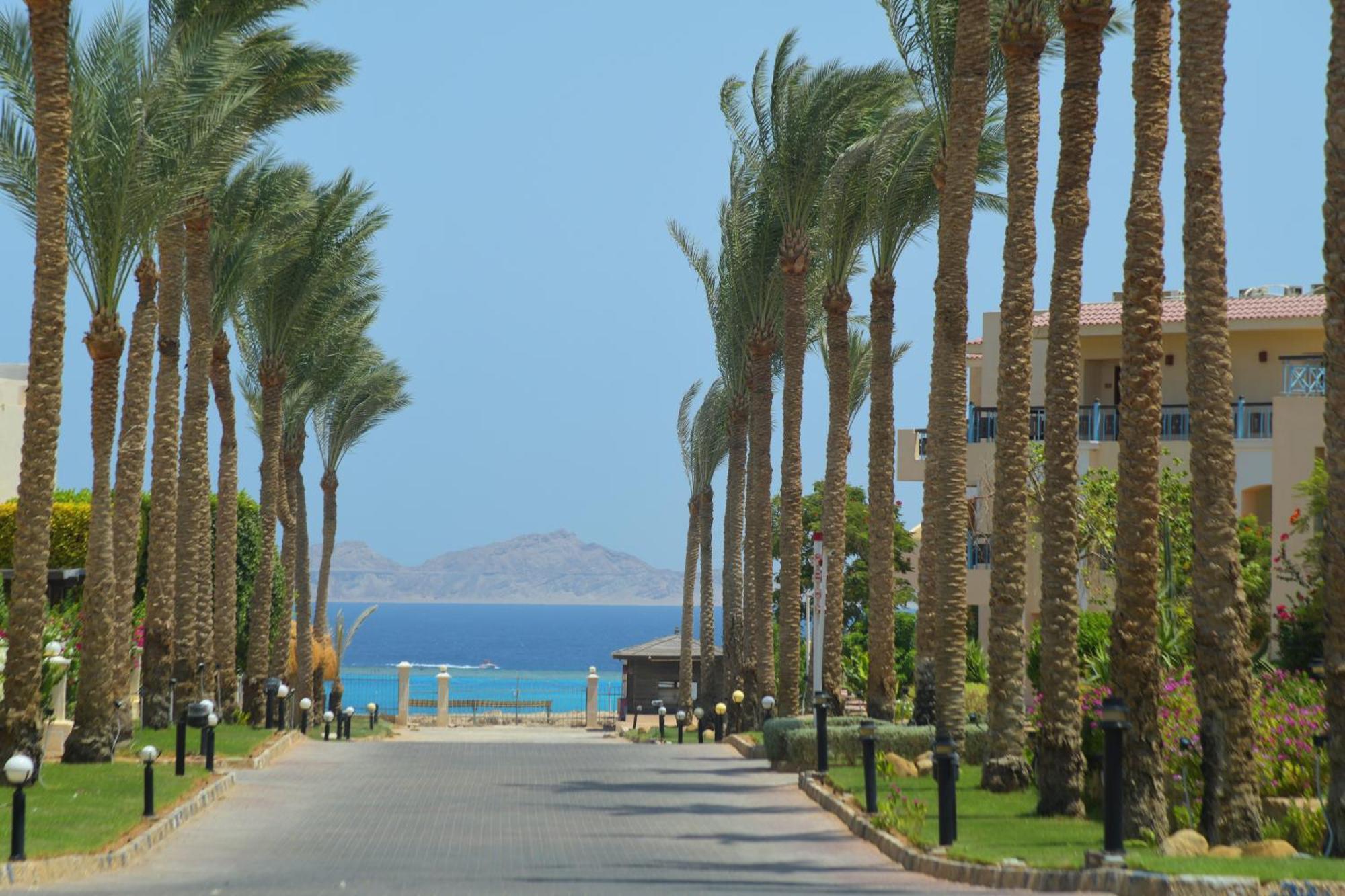 Resort Ivy Cyrene Adults Friendly 13 Sharm-el-Sheikh