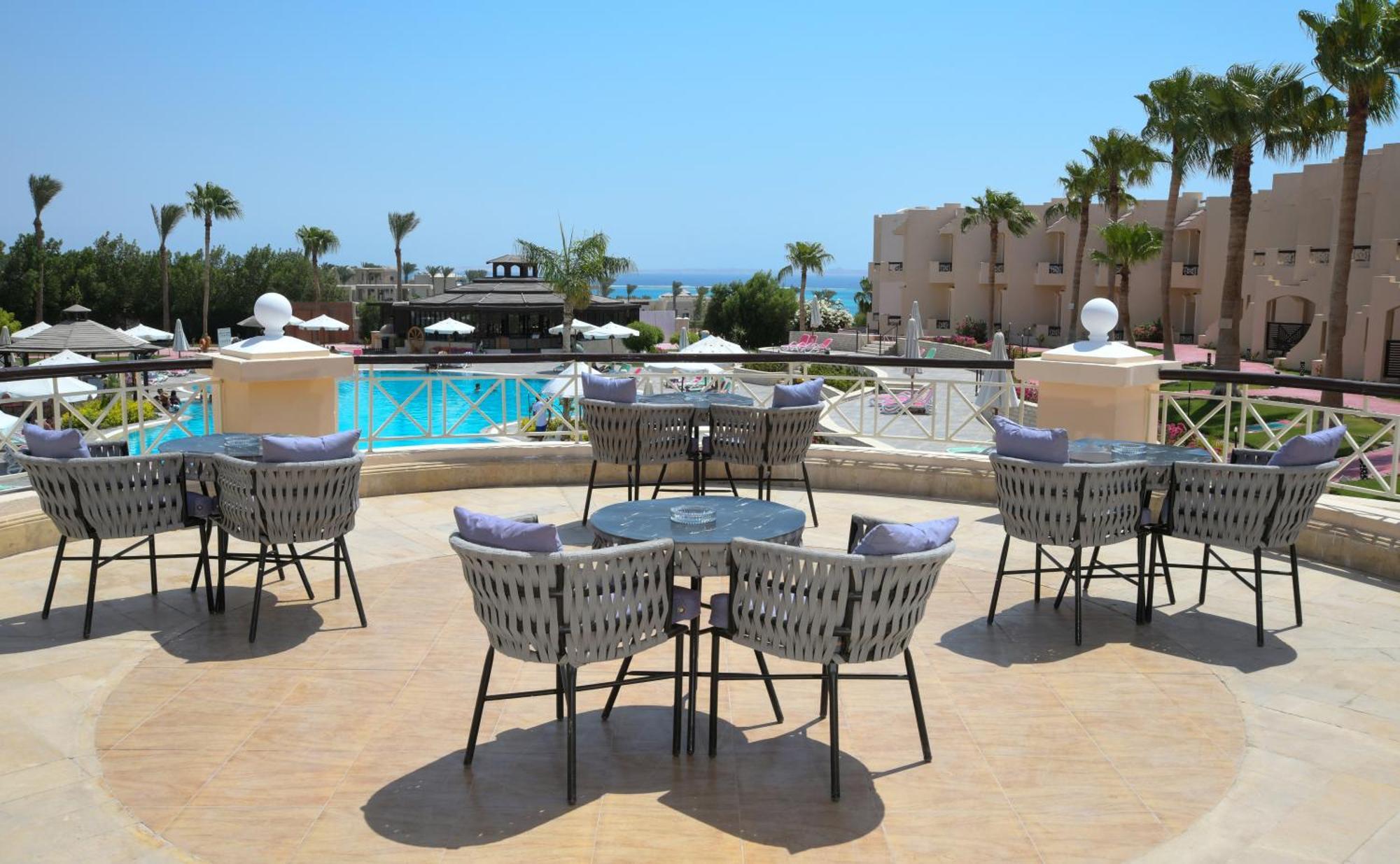 Ivy Cyrene Adults Friendly 13 4*