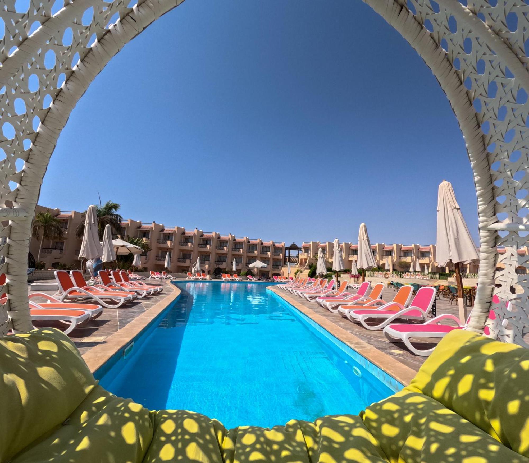 Ivy Cyrene Adults Friendly 13 4*