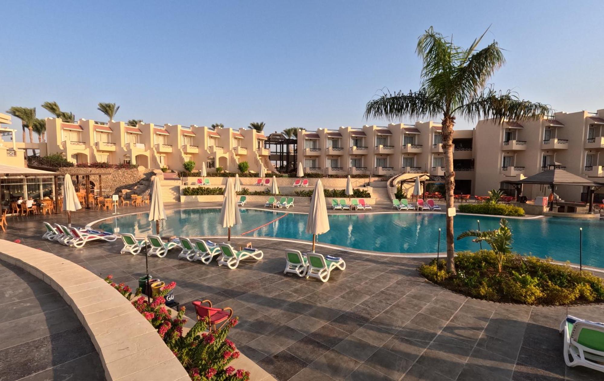 Ivy Cyrene Adults Friendly 13